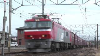 【HD1080p】2010.1.30　EH500-901牽引貨物列車／東北本線