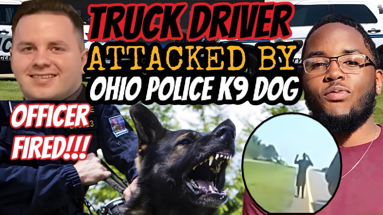 TRUCK DRIVER ATTACKED By OHIO POLICE K9 While SURRENDERING During ...