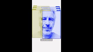 Epstein's final months and how law enforcement closed in