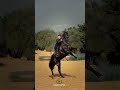 attractive rider girl🔥 دختر سوارکار جذاب🔥 animals horse girl cavalo ghoda اسب دختر حصان