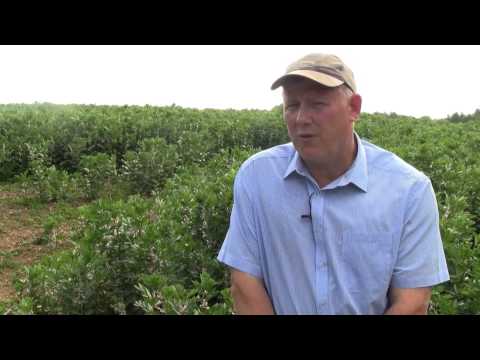 3 top tips to improve soil health 3 top tips to improve soil health