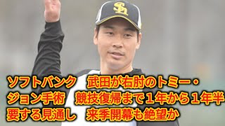 ソフトバンク　武田が右肘のトミー・ジョン手術　競技復帰まで１年から１年半要する見通し　来季開幕も絶望か