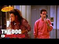 Jerry Has To Look After A Stranger's Pet | The Dog | Seinfeld