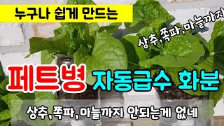 페트병 재활용해 자동급수 만들기,파렛트 활용하는 방법 How to grow lettuce using  PET bottles