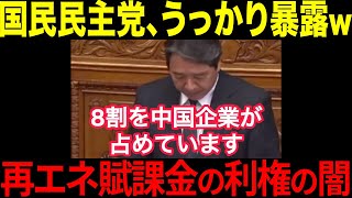 「8割を中国企業が占めている」国民民主党が再エネ賦課金の利権の闇をうっかり暴露してしまうw【政治ニュース】【自民党】