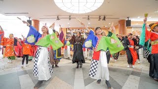 [4K] 総踊り　『結』　ちかよさ 2020