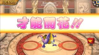 【ニコ生】モンパレ ＳＳ竜王＋935（配合）