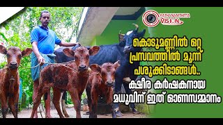 ഒറ്റ പ്രസവത്തില്‍ മൂന്നു കുഞ്ഞുങ്ങള്‍