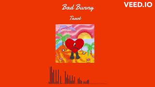 Bad Bunny - Tarot-8D