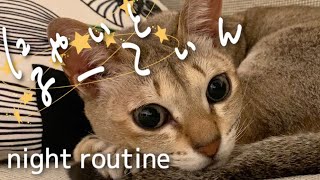 【ナイトルーティン】抱っこが大好きな猫と過ごす夜☆Life with cat☆猫のいる暮らし