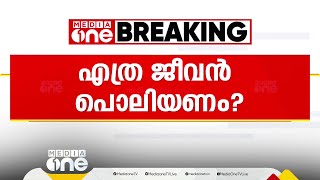 തെരുവുനായ ഭീഷണിയില്‍ ആലപ്പുഴ; കൈമലര്‍ത്തി ആറാട്ടുപുഴ പഞ്ചായത്ത്