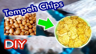 Tempeh Food | Tempeh Chips - How to make the right tempeh | Selling Food Ideas