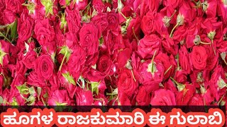 ಹೂ! ಹೂ! ಹೂವುಗಳ ರಾಣಿ ಗುಲಾಬಿ| Rose | Flowers| Natures