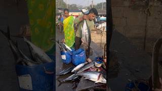 #హాయ్ ఫ్రెండ్స్ ఈరోజు రాయచోటి లో వున్నా మన subscriber yellow tona fish ఆర్డర్ చేసారు 👍