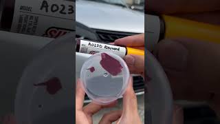 perodua bezza ada calar kat bumper ?? Superpaint DIY tool #touchuppen #superpaint #peroduamyvi