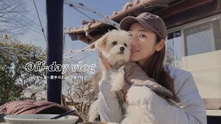 【off day】まったりのんびり過ごした最近の休日🐢 グルメ / vlog