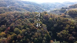 DJI Mini2「峠の秋 2020」 神奈川県 秦野市 渋沢丘陵 4k ドローン 空撮