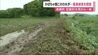 かぼちゃ畑冠水「甚大な農業被害」土砂流出で通行止めも…観測史上最多\