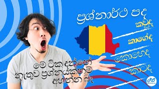 Let's learn romanian Question words | රුමේනියානු භාෂාවේ ප්‍රශ්නාර්ථ පද ඉගෙන ගනිමු