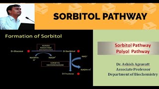 sorbitol pathway and diabetes