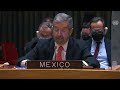 méxico vota a favor de reunión de emergencia en la onu por crisis en ucrania