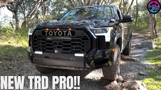 First Look!! 2022 Tundra TRD Pro In Midnight Black!!