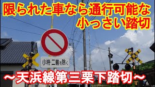 限られた車なら通行可能な小っさい踏切【天浜線第三栗下踏切】