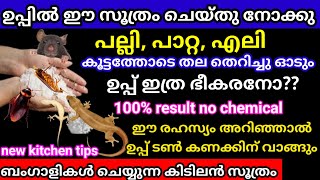 ഒരു നുള്ള് ഉപ്പിൽ ഈ സൂത്രം ചെയ്തു നോക്കു പാറ്റ പല്ലി എലി കൂട്ടത്തോടെ പരിസരം വിട്ട് ഓടും/tips\u0026tricks