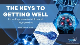 The Keys to Getting Well from Exposure to Molds and Mycotoxins