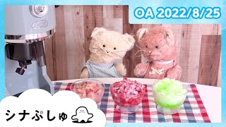 【赤ちゃんが喜ぶ】シナぷしゅ公式22/08/25│テレビ東京ｘ東大赤ちゃんラボ│赤ちゃんが泣き止む・知育の動画