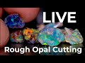 LIVE Rough opal session