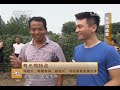 20140717 美丽中国乡村行 舌尖上的乡村——闻鸡起舞