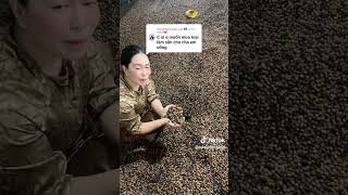 đủng đỉnh ngâm sẵn