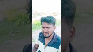 பூனை இனிமேல் வராது#trending#viral#comedy#shorts