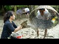 Free Life With Dad |  Catch Fish & Grill Bamboo Fish - Farm Life | Lý Thị Ly