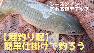 【鯉釣り堀】自分の道具で釣り堀の鯉を釣ってみませんか⁉️レンタル竿よりもアタリが分かりやすくて釣れる確率倍増‼️#鯉つり#鯉釣り