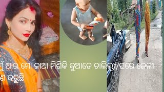 ମୁଁ ଆଉ ମୋ ଜାଆ ମିଶିକି କୁଆଡେ ଚାଲିଲୁ//ଘରେ ଜେନୀ କଣ କରୁଛି ,🤭🤭#jaganaina vlogs