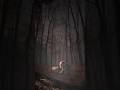 How a $60,000 Film Became a $248 Million Horror Hit | The Blair Witch Project