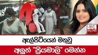 ඇල්පිටියෙන් මතුවූ අලුත් \