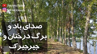 صدای طبیعت | صدای برگ | صدای جیرجیرک | صدای باد در طبیعت