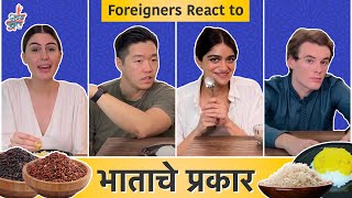 Foreigners React - Types of Rice | #Rice | #VishayKhol