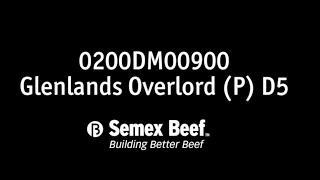 0200DM00900 GLENLANDS OVERLORD (P) D5