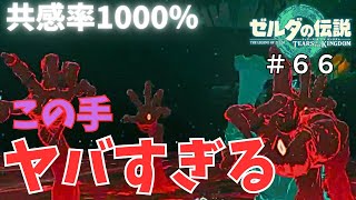 この世で1番怖い『手』【ゼルダの伝説 ティアーズ オブ ザ キングダム】#66