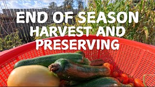 End of season harvest and preserving 2024