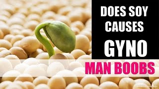 DOES SOY PROTEIN INCREASES ESTROGEN LEVELS(सोया प्रोटीन से इस्ट्रोजन बढ़ने का ख़तरा)?