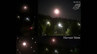 🌚Harvest Moon 🍂Врожайна повня🎃 29.09.23🍁