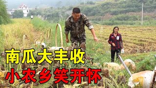 南瓜大丰收，一次性摘2000斤！最大的40斤，大家说说：怎么吃？【小农乡】