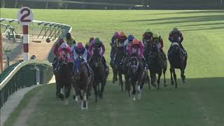 ダイワスカーレット 2008年 第53回有馬記念(GI) (優勝馬：ダイワスカーレット)