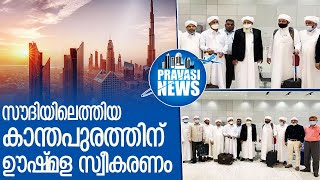 കാന്തപുരത്തിന് സൗദിയില്‍ വന്‍ വരവേല്‍പ്പ് l kanthapuram arrives saudi arabia