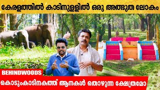 ആനകൾ ദൈവങ്ങളെ തൊഴാൻ വരുന്നതായി വിശ്വാസമുള്ള കേരളത്തിലെ ഗ്രാമം!!😲 ടിപ്പു തകർത്ത കാടിനുള്ളിലെ അമ്പലം